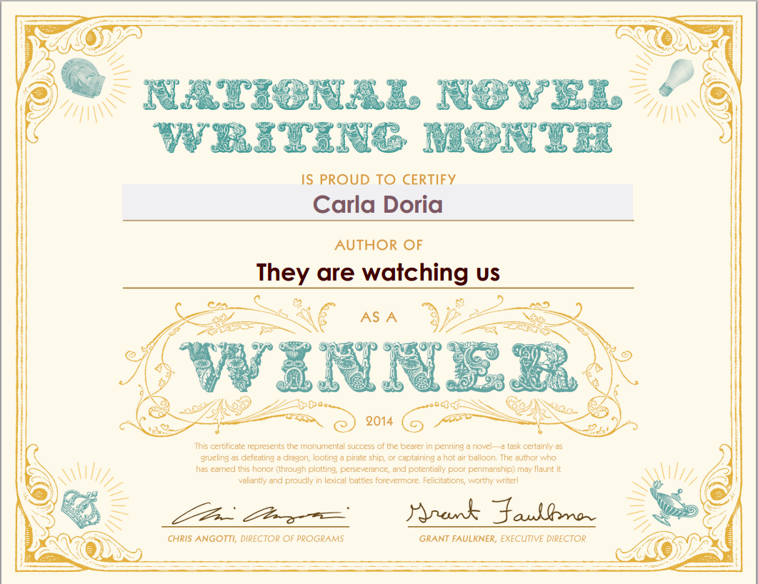 Winner of NaNoWriMo 2014 lets a heavy glass pot lid fall over her head…